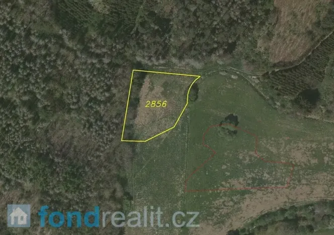 Prodej pozemku, Dešná - Dančovice, 2759 m2