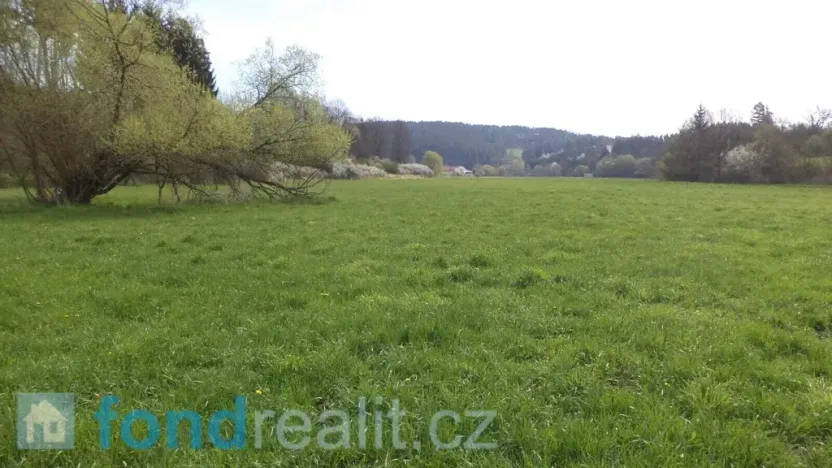 Prodej pozemku, Dešná - Dančovice, 2759 m2