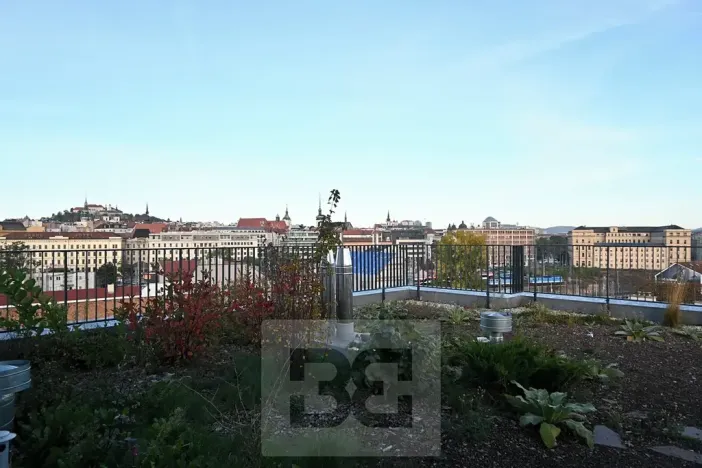 Pronájem bytu 1+kk, Brno, 40 m2