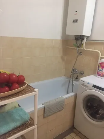 Pronájem bytu 3+kk, Lovosice, U Nadjezdu, 55 m2