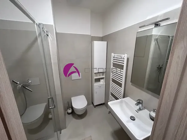 Pronájem bytu 1+kk, Olomouc, Wolkerova, 30 m2