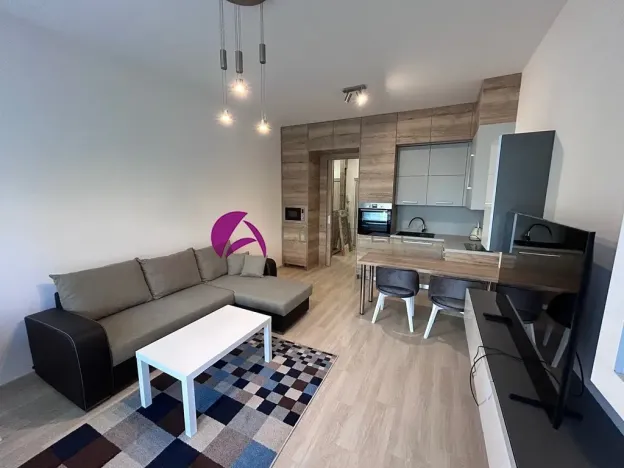 Pronájem bytu 1+kk, Olomouc, Wolkerova, 30 m2