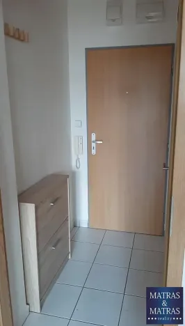 Prodej bytu 1+kk, Brno, Božetěchova, 23 m2