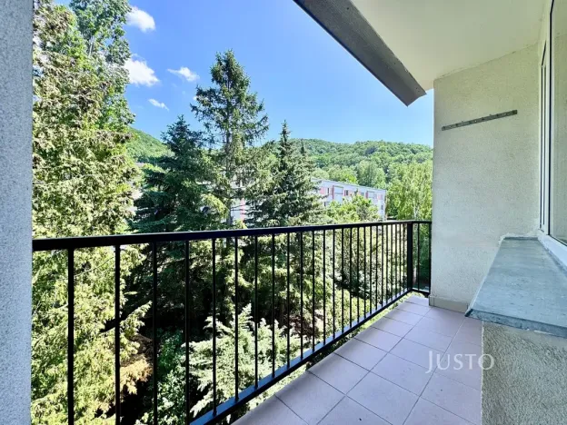 Pronájem bytu 2+1, Ústí nad Labem, Novoveská, 60 m2