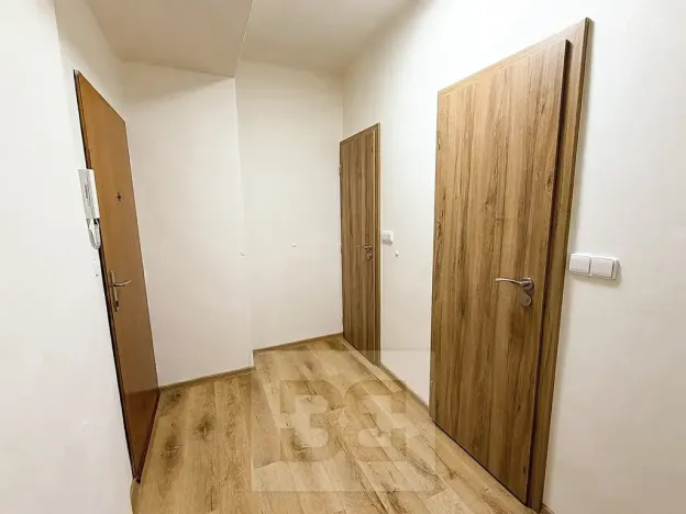 Pronájem bytu 2+kk, Plzeň, Pod Švabinami, 60 m2