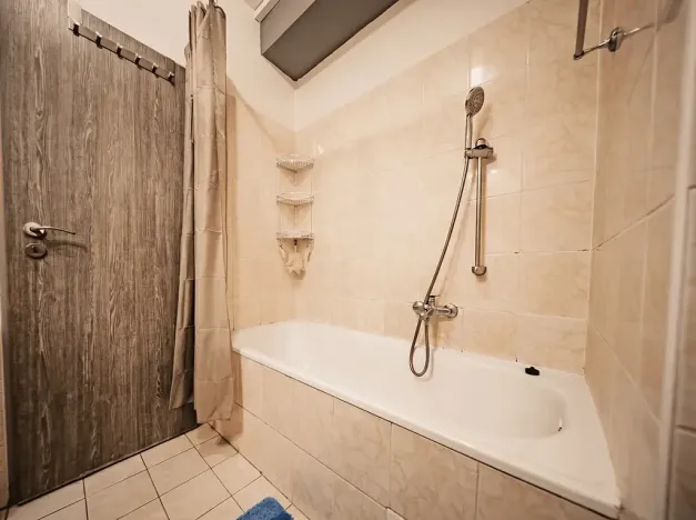 Prodej bytu 2+kk, Plzeň, Mutěnická, 55 m2