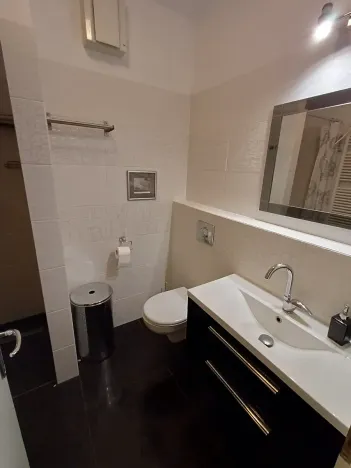 Pronájem bytu 1+kk, Praha - Podolí, Brabcova, 44 m2