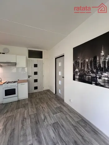 Pronájem bytu 1+1, Jirkov, Hornická, 36 m2