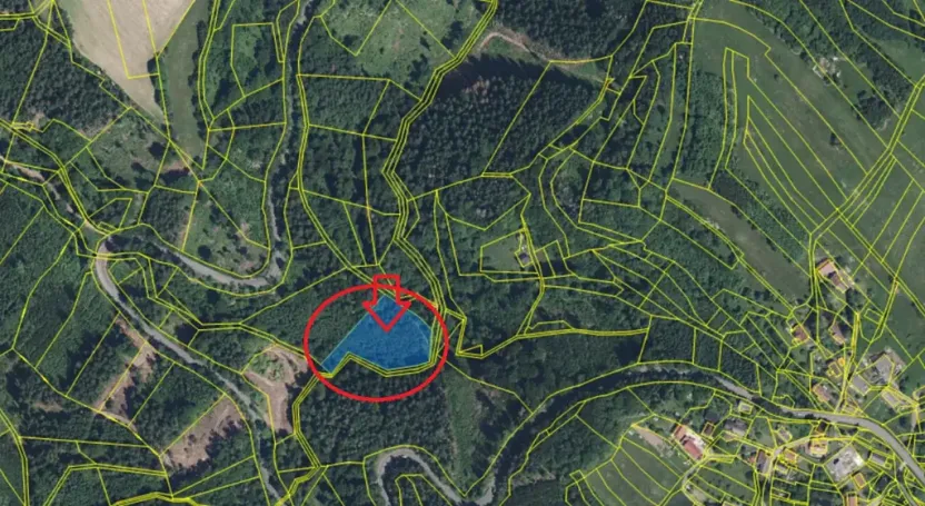 Prodej lesa, Železný Brod, 4901 m2