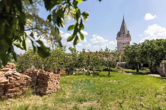 Prodej vinného sklepa, Pavlov, Na Návsi, 49 m2