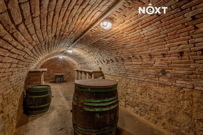 Prodej vinného sklepa, Šakvice, Sklepní, 130 m2