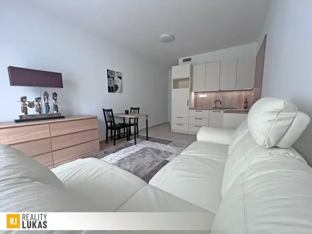 Pronájem bytu 1+kk, Ostrava, Pivovarská, 36 m2