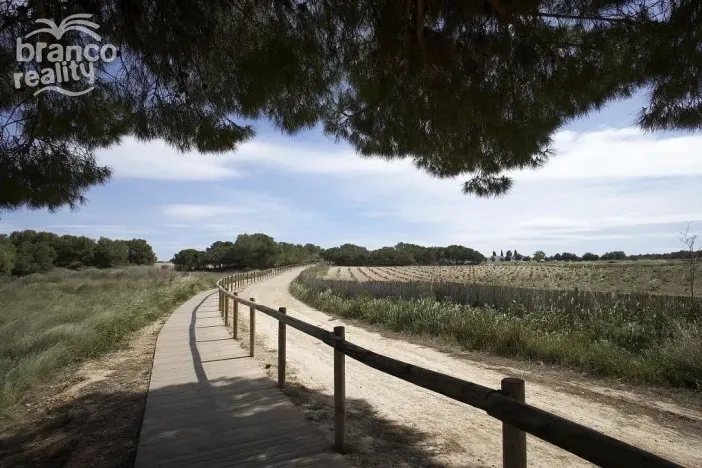 Prodej rodinného domu, Torrevieja, Alicante, Španělsko, 79 m2