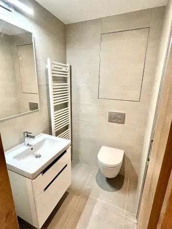 Pronájem bytu 1+kk, Brno, Placzkova, 33 m2