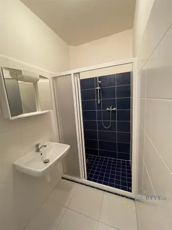 Pronájem bytu 2+kk, Praha - Nusle, V Horkách, 56 m2