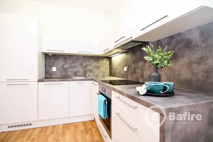 Pronájem bytu 2+kk, Olomouc, Aloise Rašína, 62 m2