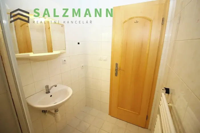 Pronájem bytu 2+kk, Plzeň, Malesická, 43 m2