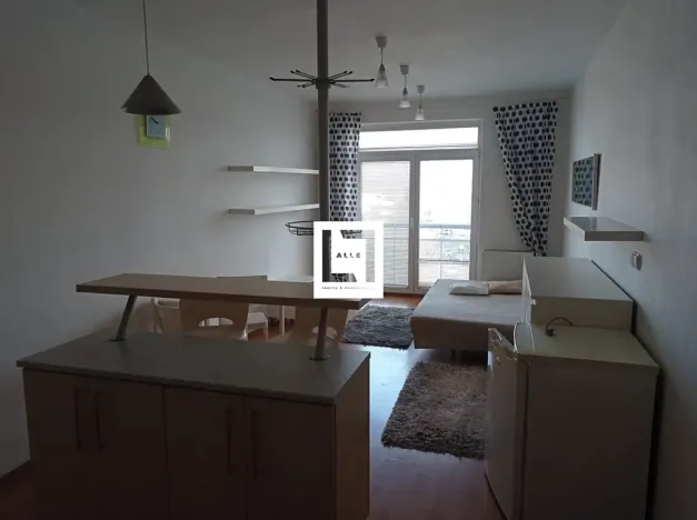 Pronájem bytu 1+kk, Olomouc, Mošnerova, 37 m2