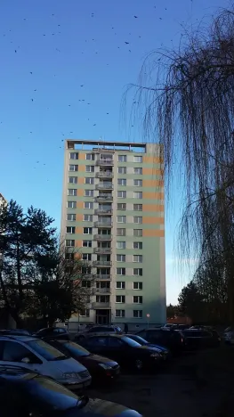 Pronájem bytu 1+kk, Brno, Herčíkova, 12 m2