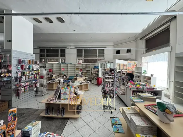 Pronájem obchodního prostoru, Teplice, Školní, 441 m2