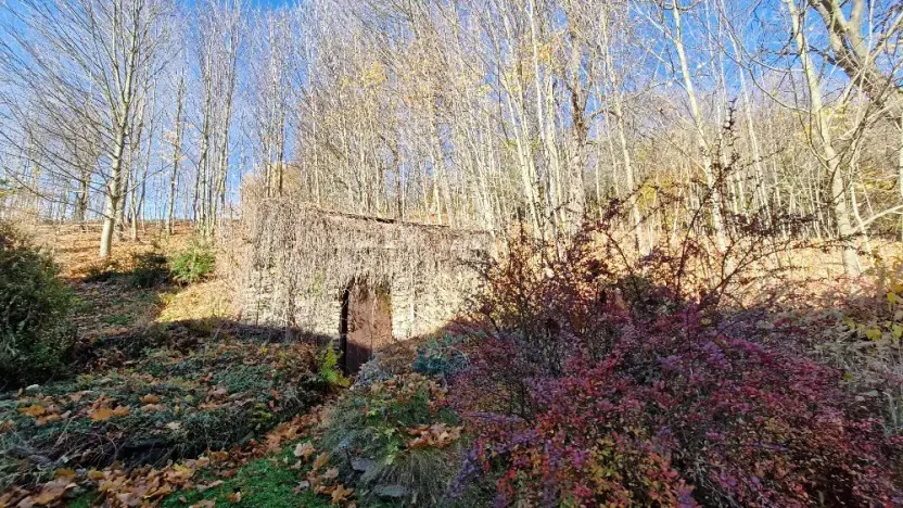 Prodej chalupy, Město Albrechtice, 150 m2