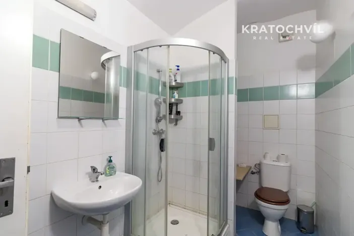 Prodej bytu 1+kk, Praha - Karlín, Březinova, 50 m2