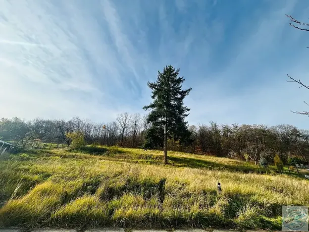 Prodej pozemku pro bydlení, Krnov, 1311 m2
