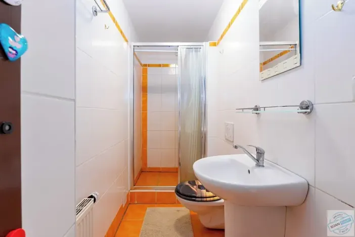Prodej rodinného domu, Opava, Slezská, 275 m2