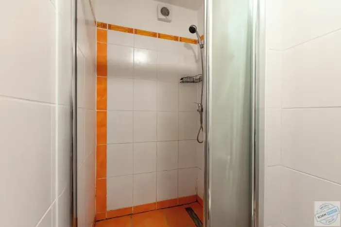 Prodej rodinného domu, Opava, Slezská, 275 m2