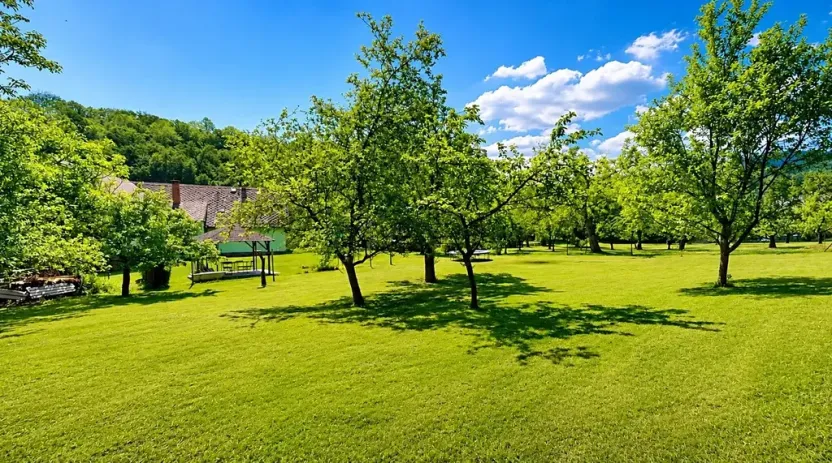 Prodej rodinného domu, Javorník, 185 m2