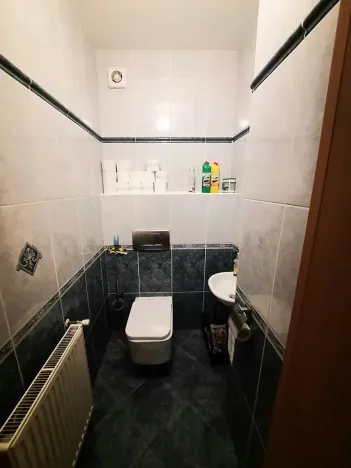 Pronájem rodinného domu, Liberec, Irkutská, 250 m2