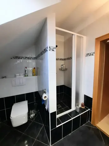 Pronájem rodinného domu, Liberec, Irkutská, 250 m2