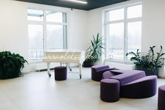 Pronájem bytu 1+kk, Praha - Vysočany, Freyova, 32 m2
