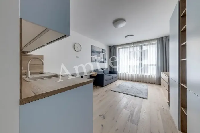 Pronájem bytu 1+kk, Praha - Karlín, Sokolovská, 28 m2