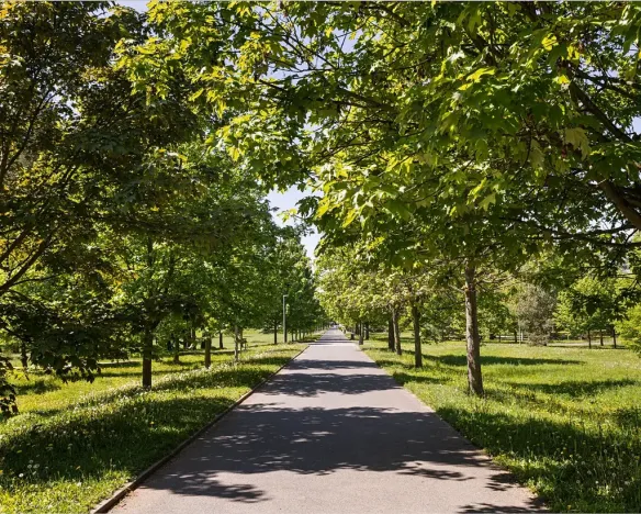 Pronájem bytu 4+kk, Hradec Králové, Pospíšilova, 95 m2