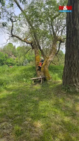 Prodej chaty, Dobronice u Bechyně, 55 m2