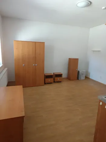 Pronájem bytu 1+kk, Brno, Francouzská, 25 m2