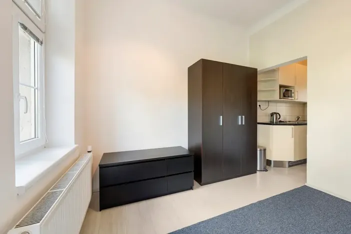 Prodej bytu 1+kk, Brno, Drobného, 30 m2
