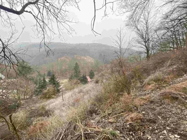 Prodej pozemku, Ryjice, 3310 m2