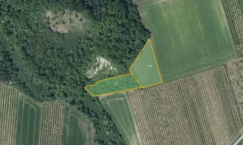 Prodej sadu/vinice, Želkovice, 28919 m2