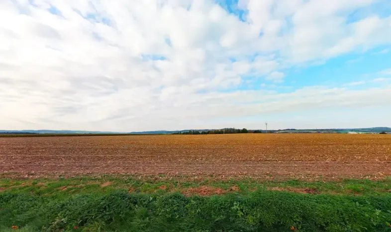 Prodej komerčního pozemku, Zruč nad Sázavou, 3061 m2