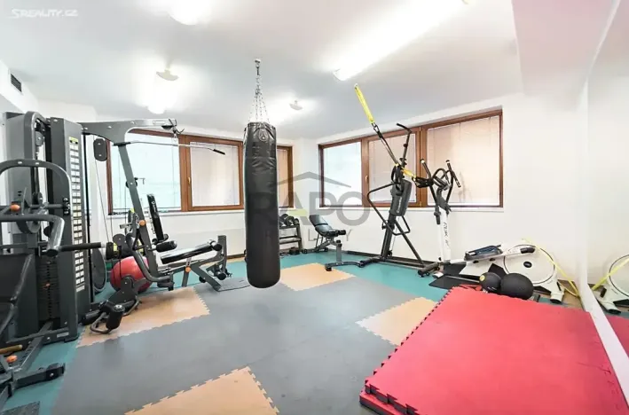 Prodej bytu 3+kk, Praha - Žižkov, Kališnická, 93 m2