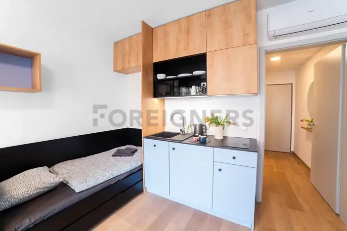Pronájem bytu 1+kk, Olomouc, Edmunda Husserla, 27 m2