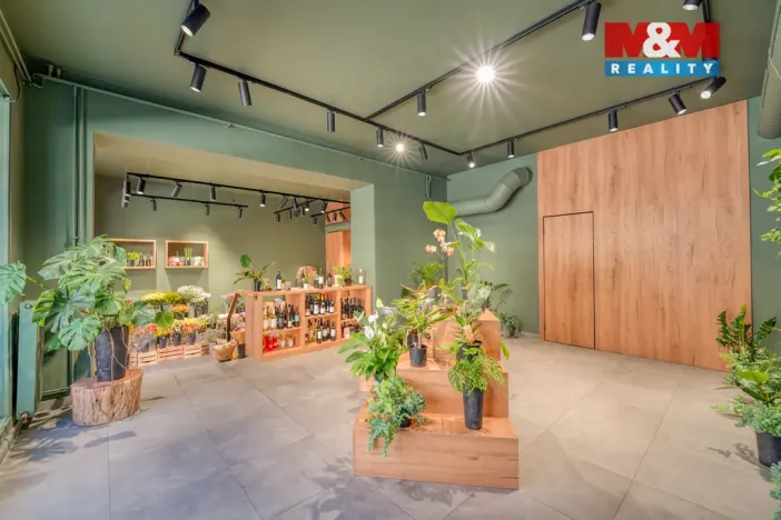 Pronájem obchodního prostoru, Plzeň - Jižní Předměstí, Americká, 145 m2