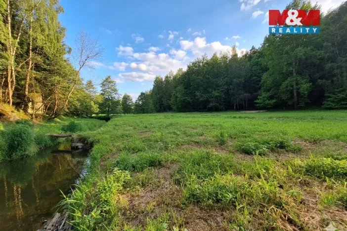 Prodej louky, Bor - Skviřín, 1522 m2