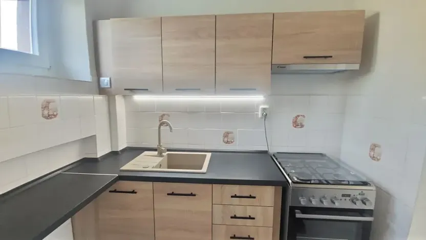 Prodej bytu 2+1, Hradec Králové, Labská kotlina, 53 m2