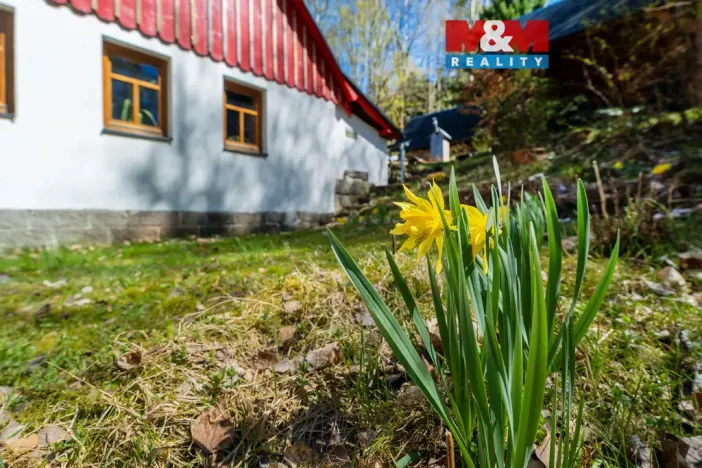 Prodej chalupy, Tanvald - Šumburk nad Desnou, 118 m2