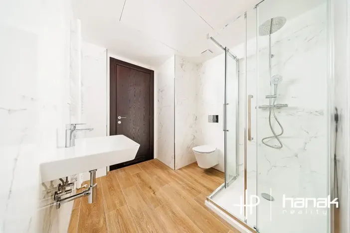 Pronájem bytu 2+kk, Olomouc, Třída Jiřího Pelikána, 46 m2