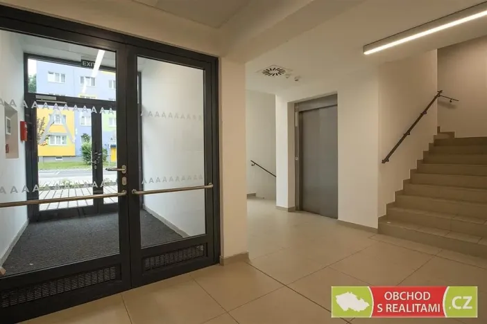Pronájem bytu 1+kk, Praha, Štěchovická, 45 m2