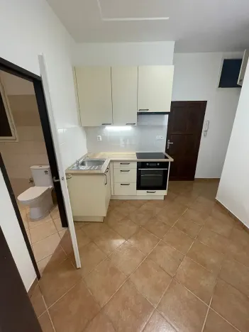 Pronájem bytu 1+kk, Praha - Břevnov, Bělohorská, 40 m2